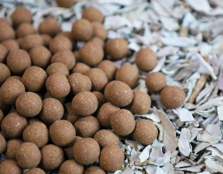  Close-up texture of handmade white sage and agarwood incense pellets resting on natural dried sage leaves.